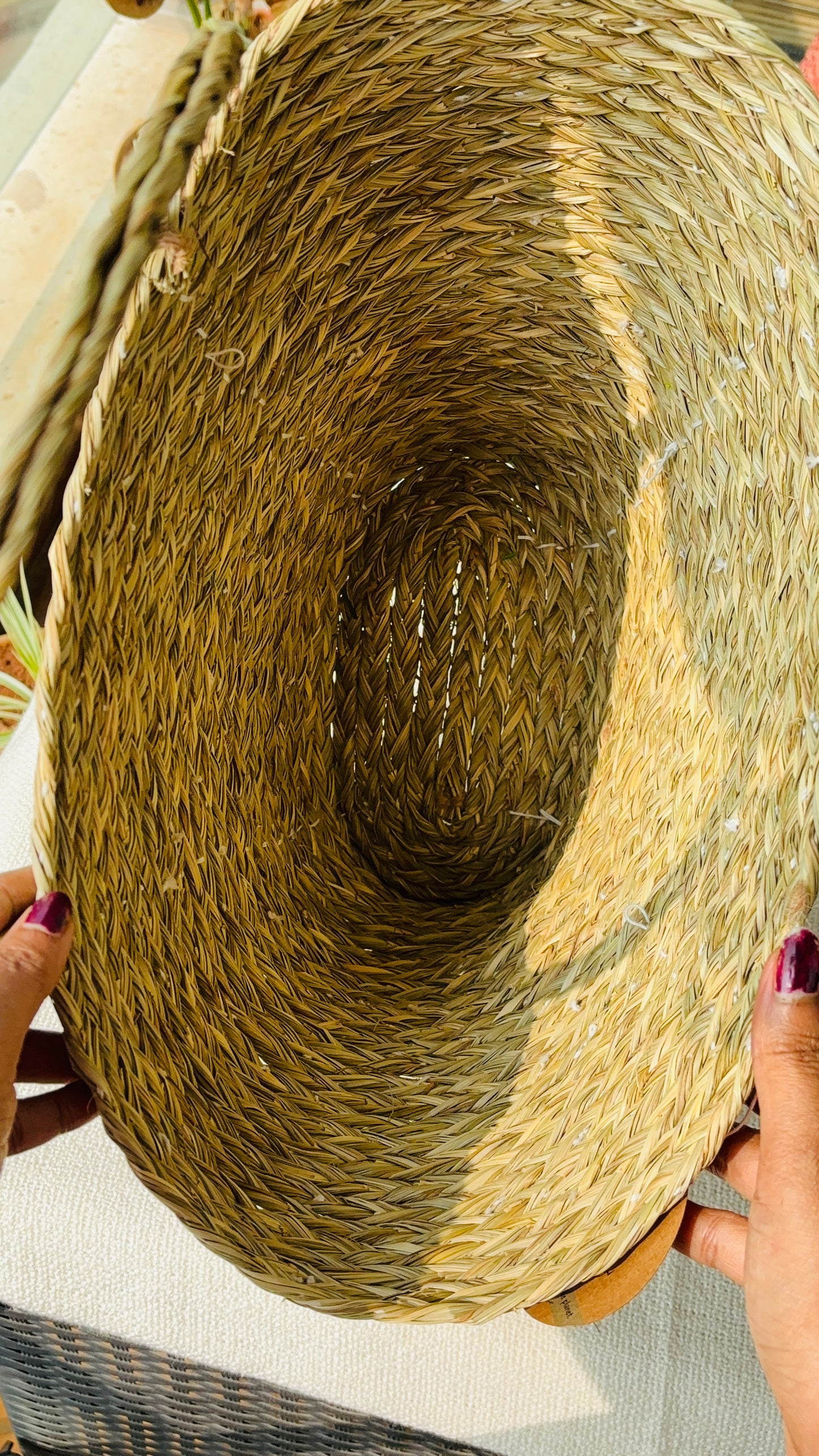 Handwoven Natural Fiber V- Bag