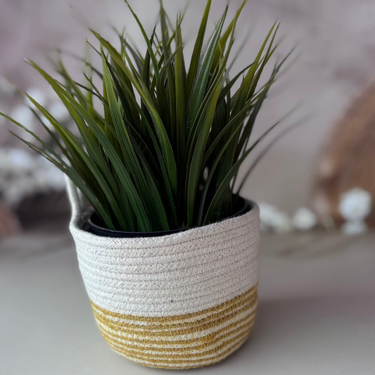 Cotton Rope Basket | Mustard and White | Set of 2
