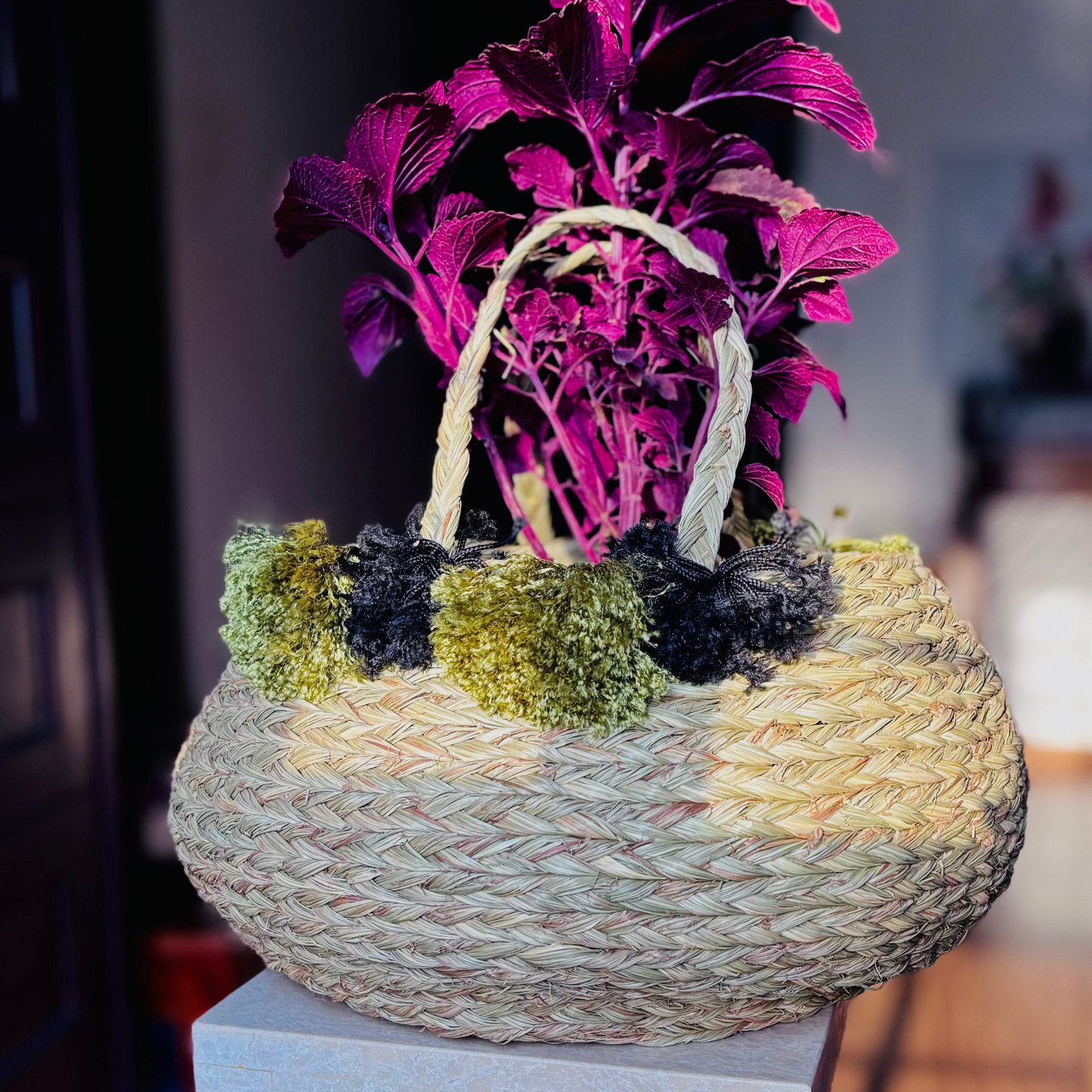 Sabai Grass Belly Planter