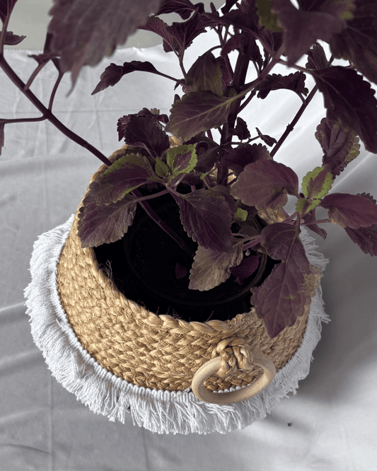 Cotton Rope Belly Basket | Black and Beige | 8 inches
