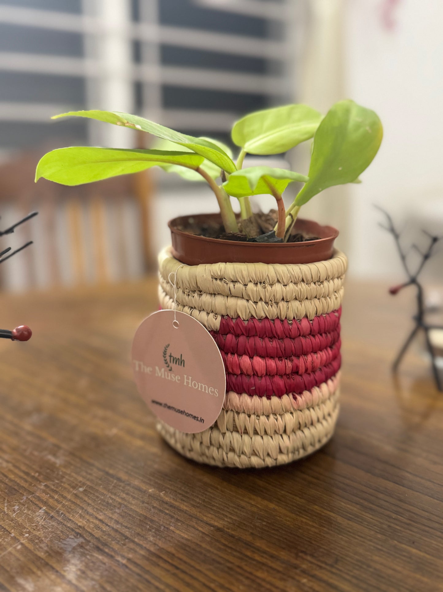 Handwoven Natural Fiber Planter- 4"