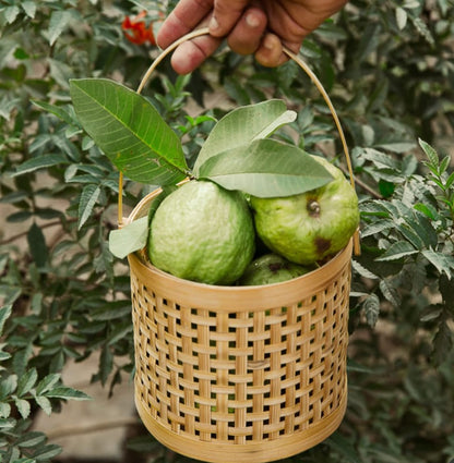 Bamboo Jali Basket With Handle