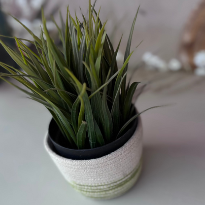 Cotton Rope Green and Yellow Planter- Set of 2