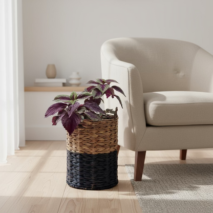 Water Hyacinth Monochrome Basket- 12"x10"