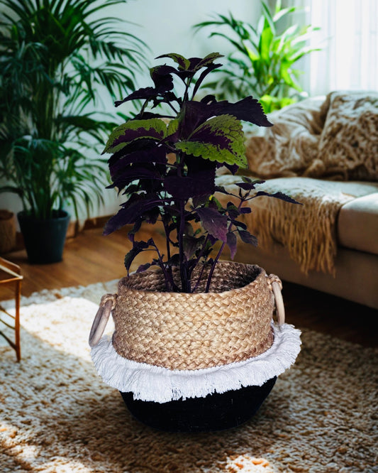Matka Cotton Rope and Jute Basket- 8 inch