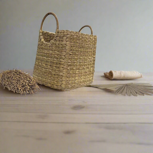 Seagrass Basket with Cane Handle 8"